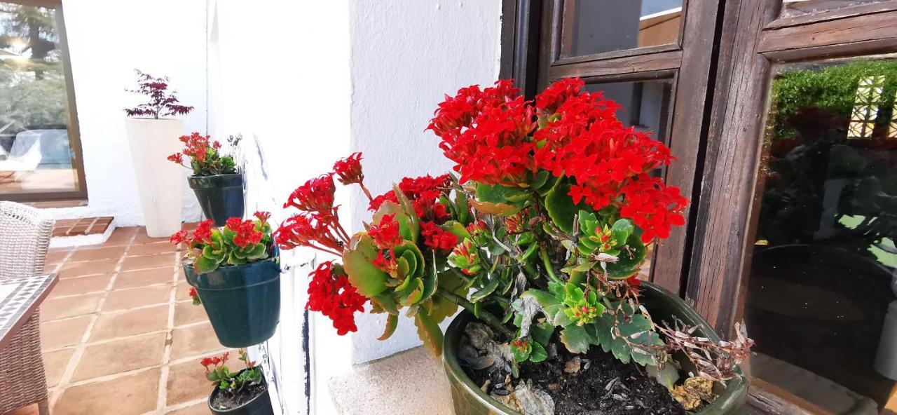 Roca Verde, Boutique Bed & Breakfast (Adults Only) Alhaurin de la Torre Exterior photo