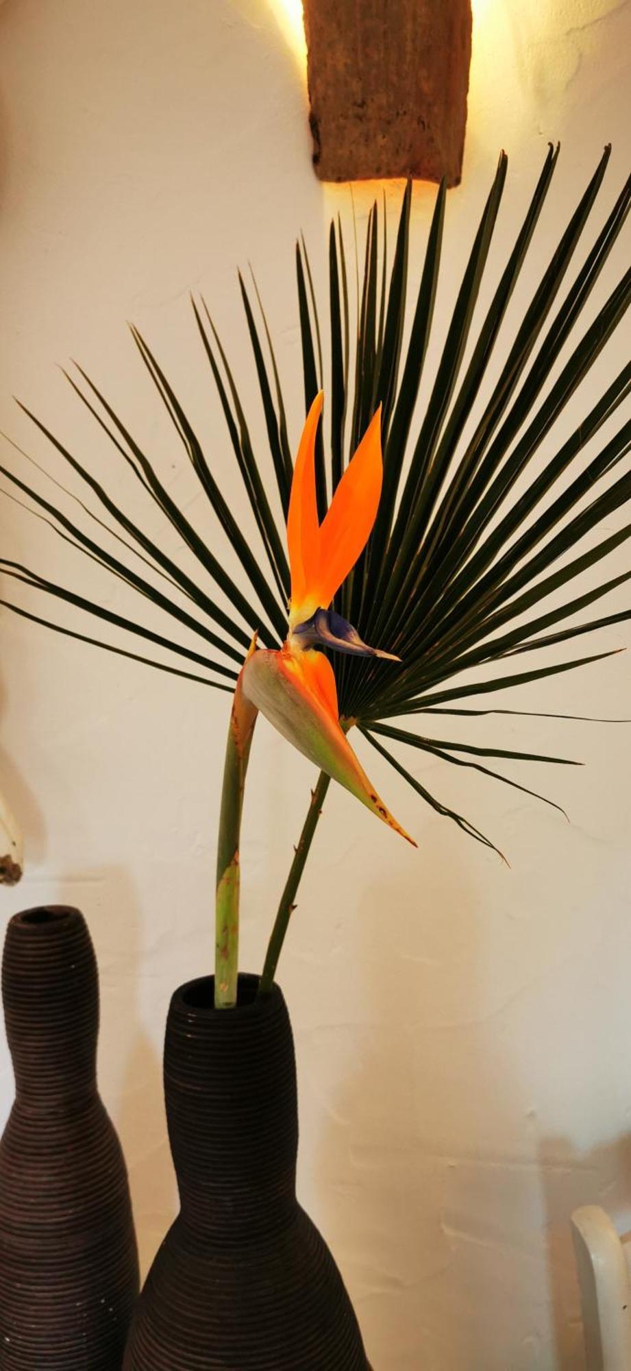 Roca Verde, Boutique Bed & Breakfast (Adults Only) Alhaurin de la Torre Room photo