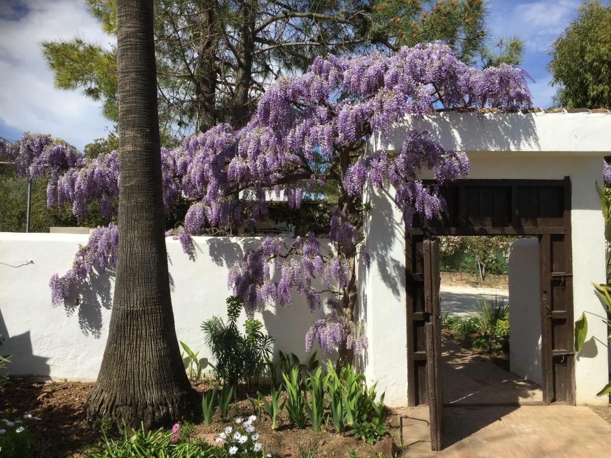 Roca Verde, Boutique Bed & Breakfast (Adults Only) Alhaurin de la Torre Exterior photo