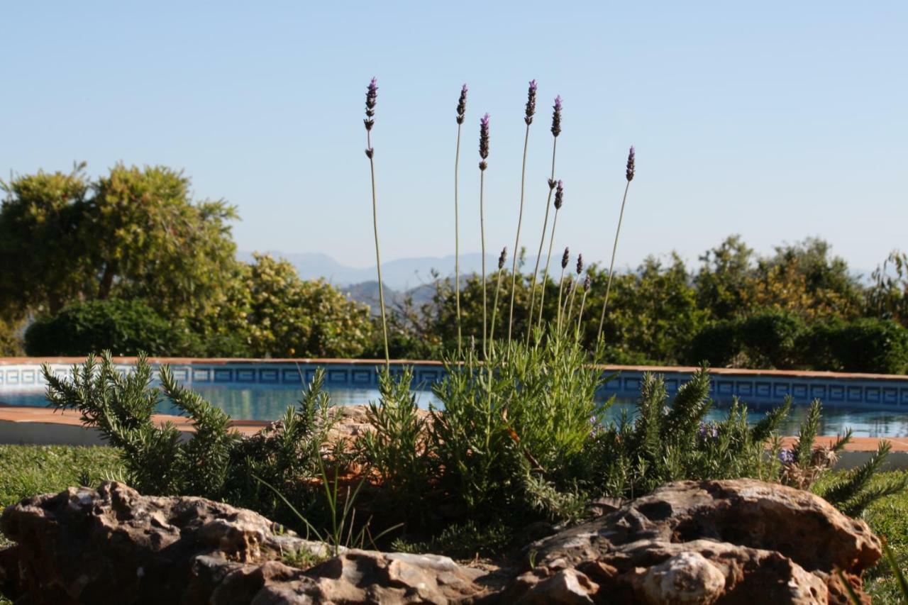 Roca Verde, Boutique Bed & Breakfast (Adults Only) Alhaurin de la Torre Exterior photo